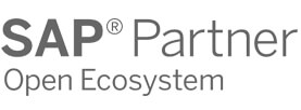 SAP Partner open eccosystem